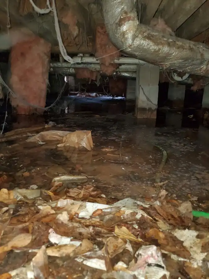 Crawl space flood assessment for Leak Detection & Repair in El Campo